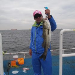 オリジナルメーカー海づり公園(市原市海づり施設) 釣果