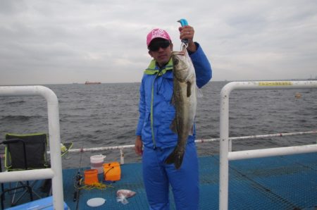 オリジナルメーカー海づり公園(市原市海づり施設) 釣果