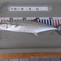 姫路市立遊魚センター 釣果