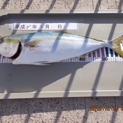 姫路市立遊魚センター 釣果