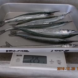 姫路市立遊魚センター 釣果