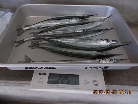 姫路市立遊魚センター 釣果