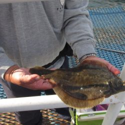 オリジナルメーカー海づり公園(市原市海づり施設) 釣果