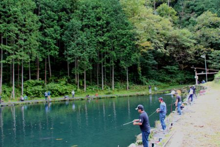 小菅トラウトガーデン 釣果