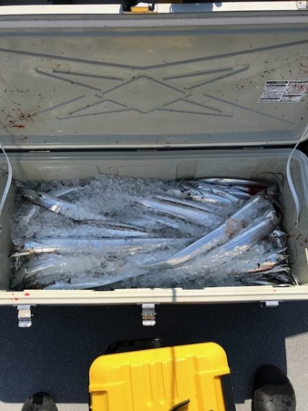 へいみつ丸 釣果