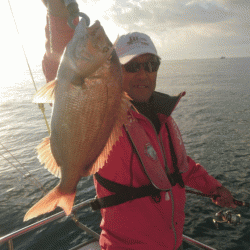 遊漁船ブルーウッズ 釣果