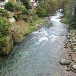 狩野川(狩野川漁業協同組合) 釣果