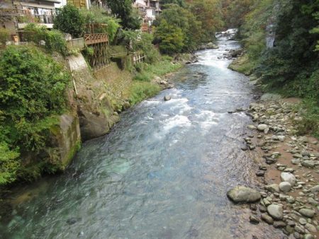 狩野川(狩野川漁業協同組合) 釣果
