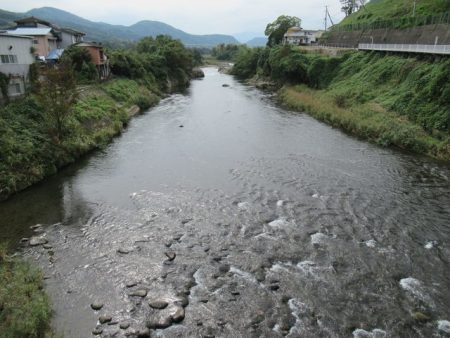 狩野川(狩野川漁業協同組合) 釣果