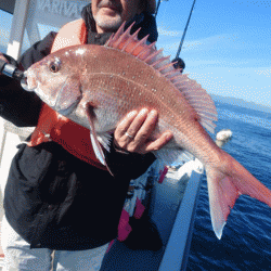 遊漁船ブルーウッズ 釣果