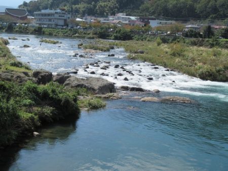 狩野川(狩野川漁業協同組合) 釣果