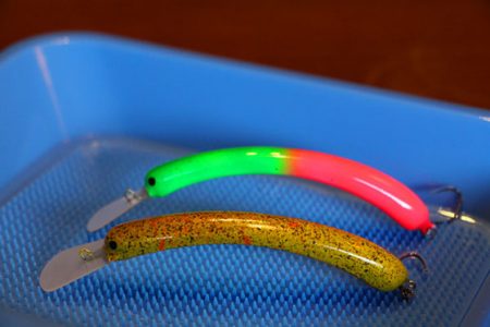 小菅トラウトガーデン 釣果