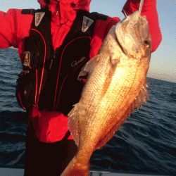 遊漁船ブルーウッズ 釣果