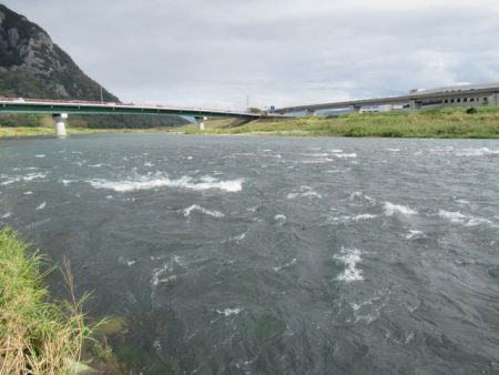 狩野川(狩野川漁業協同組合) 釣果