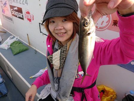 深川 吉野屋 釣果