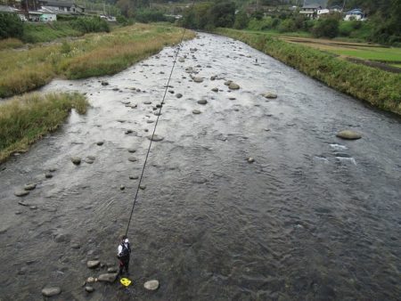 狩野川(狩野川漁業協同組合) 釣果