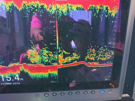 深川 吉野屋 釣果