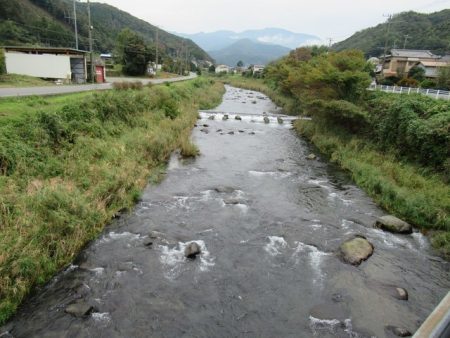 狩野川(狩野川漁業協同組合) 釣果