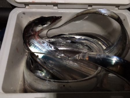 鶴浜緑地　時合後も