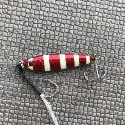 ライトショアジギング