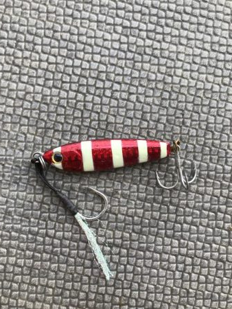 ライトショアジギング