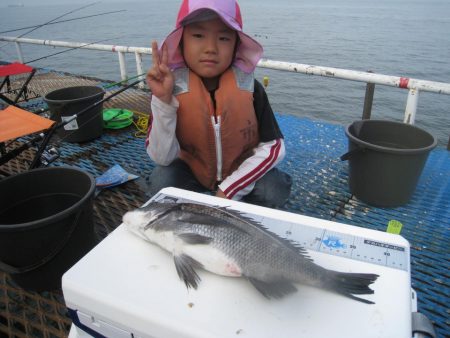 オリジナルメーカー海づり公園(市原市海づり施設) 釣果