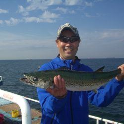 オリジナルメーカー海づり公園(市原市海づり施設) 釣果