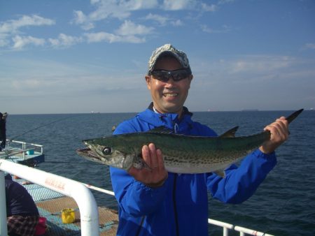 オリジナルメーカー海づり公園(市原市海づり施設) 釣果