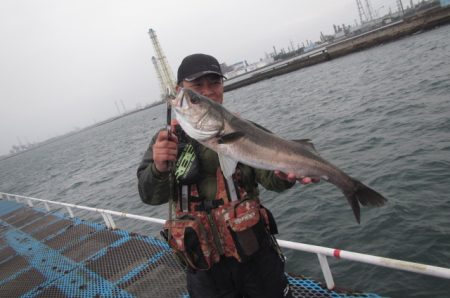 オリジナルメーカー海づり公園(市原市海づり施設) 釣果