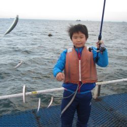 オリジナルメーカー海づり公園(市原市海づり施設) 釣果