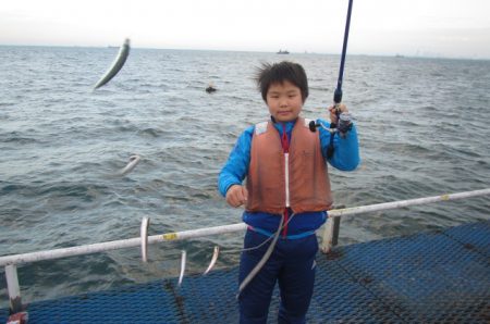 オリジナルメーカー海づり公園(市原市海づり施設) 釣果