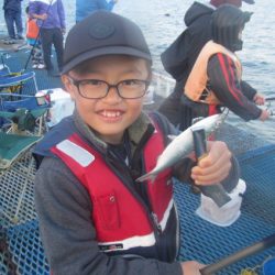 オリジナルメーカー海づり公園(市原市海づり施設) 釣果