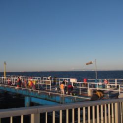 オリジナルメーカー海づり公園(市原市海づり施設) 釣果