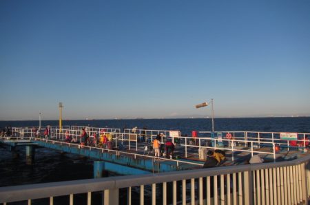 オリジナルメーカー海づり公園(市原市海づり施設) 釣果