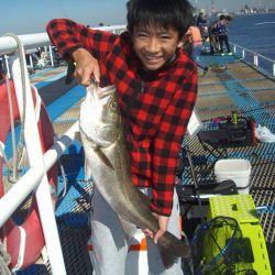 オリジナルメーカー海づり公園(市原市海づり施設) 釣果