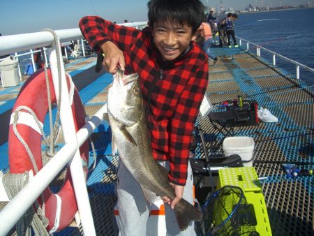 オリジナルメーカー海づり公園(市原市海づり施設) 釣果