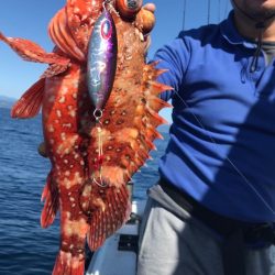 Blue.win 海人丸 釣果