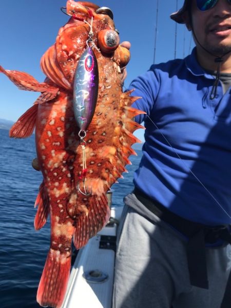 Blue.win 海人丸 釣果