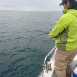 遊漁船ブルーウッズ 釣果