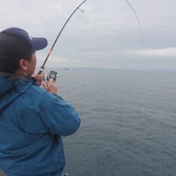 遊漁船ブルーウッズ 釣果