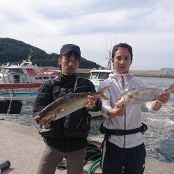 しば渡船 釣果
