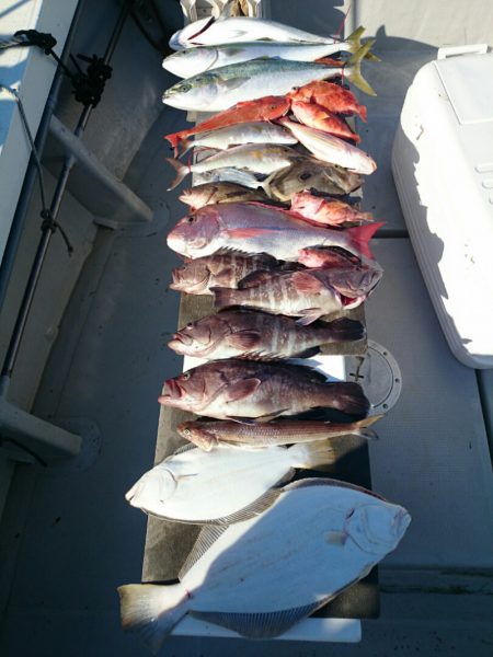 エンペラー 釣果