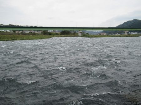 狩野川（狩野川漁業協同組合） 釣果