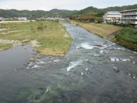 狩野川(狩野川漁業協同組合) 釣果