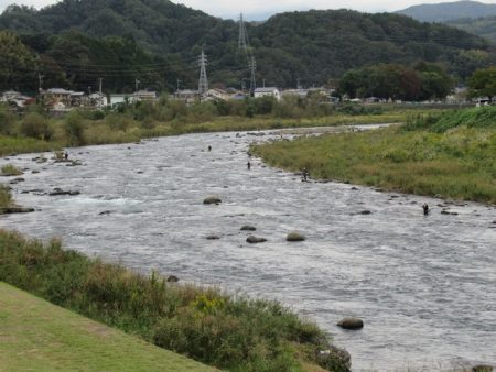 狩野川(狩野川漁業協同組合) 釣果