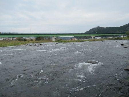 狩野川（狩野川漁業協同組合） 釣果
