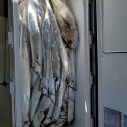 遊漁船　ニライカナイ 釣果
