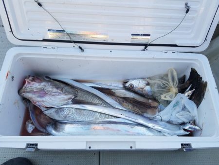 遊漁船 ニライカナイ 釣果