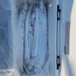 遊漁船 ニライカナイ 釣果