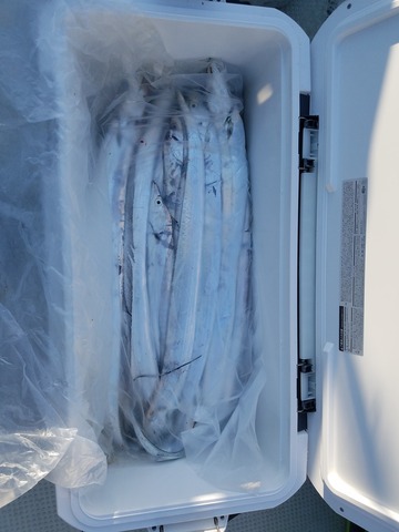 遊漁船 ニライカナイ 釣果